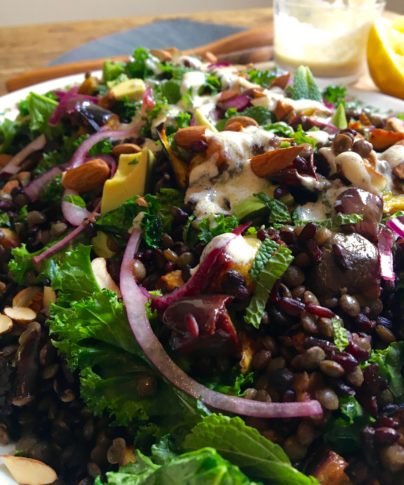 Black rice, green lentils and spicy eggplant