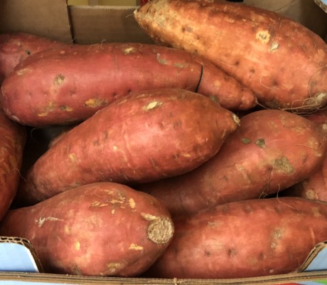 sweet potatoes, Thanksgiving in Paris